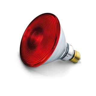 Infračervená žiarovka 150W PAR38